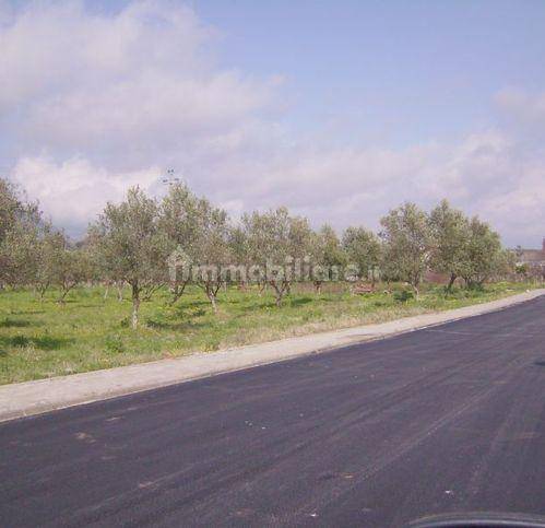 986m² Land in Gizzeria, Italy No. 70006