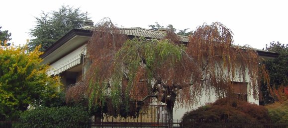 5 rooms Villa in Induno Olona, Italy No. 238624 15