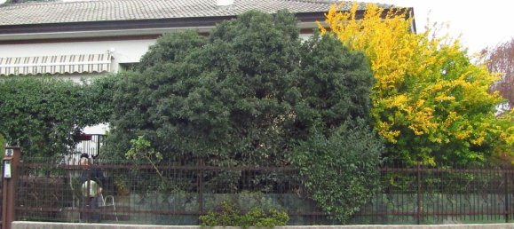 5 rooms Villa in Induno Olona, Italy No. 238624 9