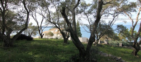 3300m² Hotel in Corfu, Greece No. 5117 13