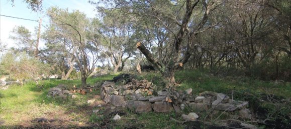 3300m² Hotel in Corfu, Greece No. 5117 10