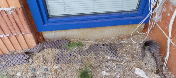 4 rooms House in Ligist, Austria No. 197023 49