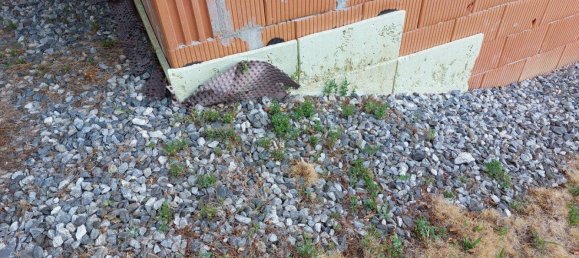 4 rooms House in Ligist, Austria No. 197023 46