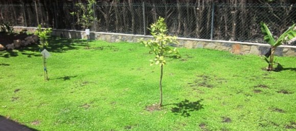6 chambres Maison à Cabo Roig, Spain No. 130942 18