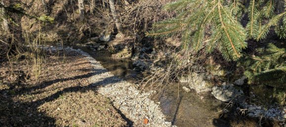 Land in Scharnstein, Austria No. 150702 2