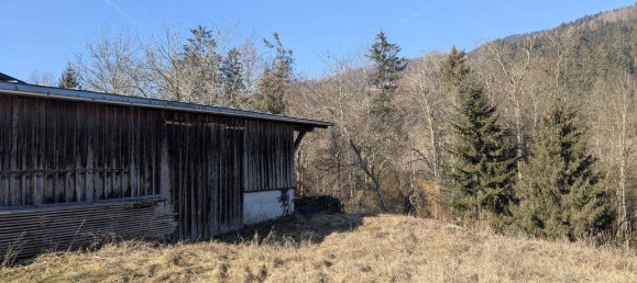 Land in Scharnstein, Austria No. 150702 5