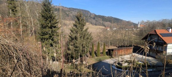 Land in Scharnstein, Austria No. 150702 4