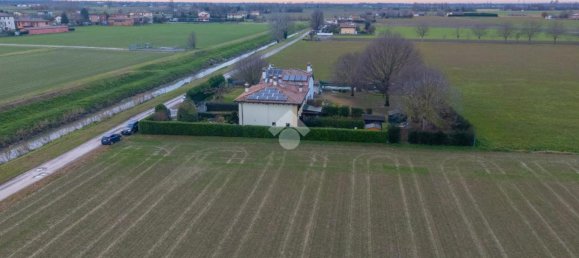 4 rooms Villa in Minerbio, Italy No. 238168 74