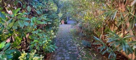 11-salle Maison à Pietrasanta, Italy No. 197049 10