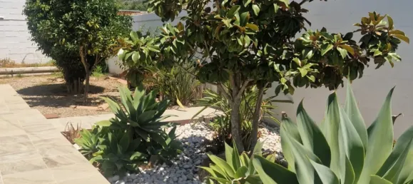 3 غرف نوم منزل في Cadiz, Spain رقم 140413 12