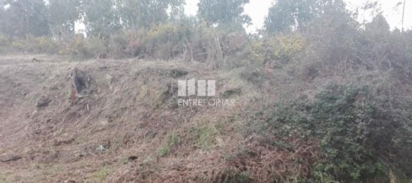 Grundstück in Marco de Canaveses, Portugal 7350m², Nr. 57725 4