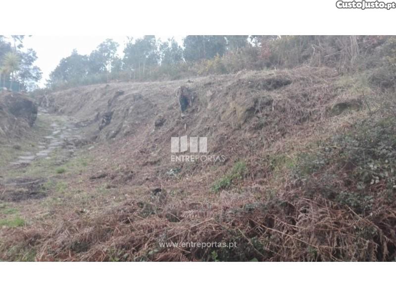 Grundstück in Marco de Canaveses, Portugal 7350m², Nr. 57725