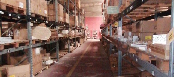 12640m² Building in Sabbioneta, Italy No. 378514 11