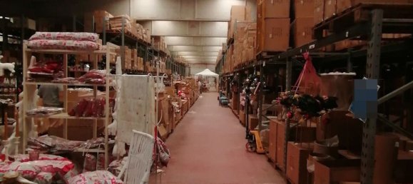 12640m² Building in Sabbioneta, Italy No. 378514 18