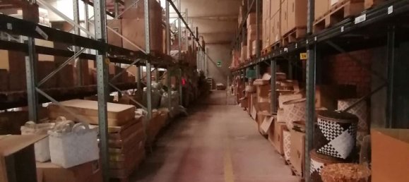 12640m² Building in Sabbioneta, Italy No. 378514 8