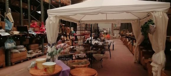 12640m² Building in Sabbioneta, Italy No. 378514 17