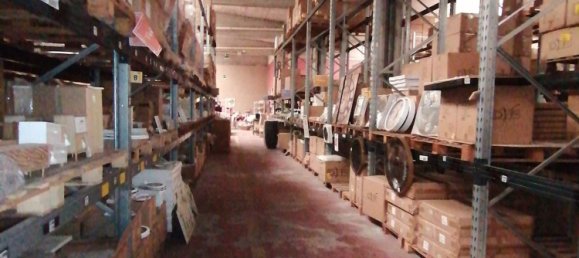 12640m² Building in Sabbioneta, Italy No. 378514 16