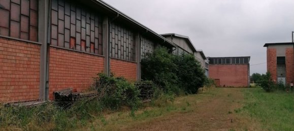 12640m² Building in Sabbioneta, Italy No. 378514 5