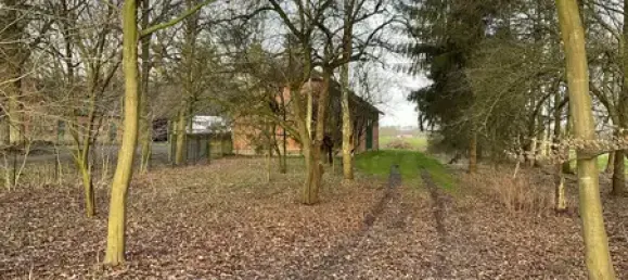 6 bedrooms Farm in Verden, Germany No. 194749 7