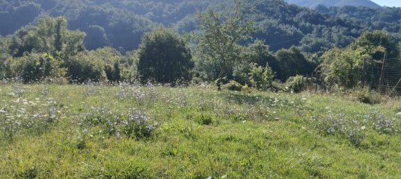 8 Schlafzimmer Haus in Varese Ligure, Italy, Nr. 363114 29