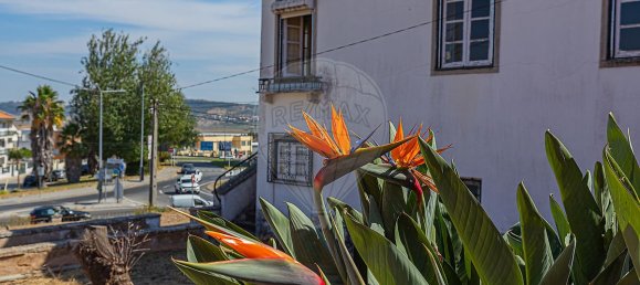 4 bedrooms House in Loures, Portugal No. 46399 9