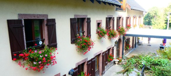 Propiedad comercial en Colmar, France No. 234424 3