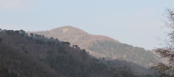 14 rooms House in Palazzuolo sul Senio, Italy No. 75999 10