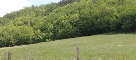 14 rooms House in Palazzuolo sul Senio, Italy No. 75999 5