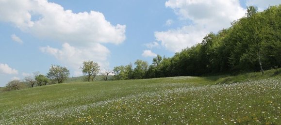 14 rooms House in Palazzuolo sul Senio, Italy No. 75999 6