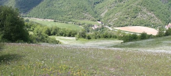 14 rooms House in Palazzuolo sul Senio, Italy No. 75999 2