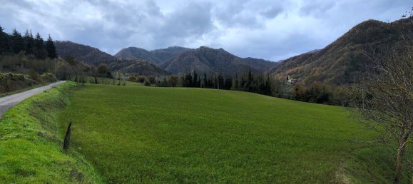 14 rooms House in Palazzuolo sul Senio, Italy No. 75999 11