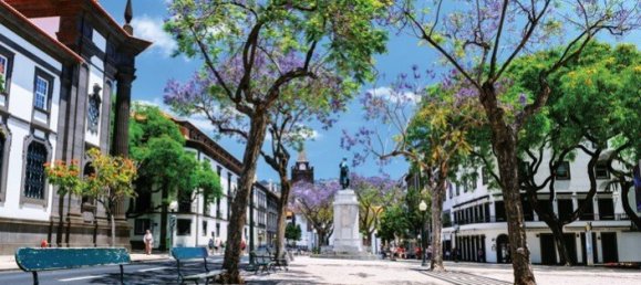 4 Schlafzimmer Wohnung in Funchal, Portugal, Nr. 161644 20