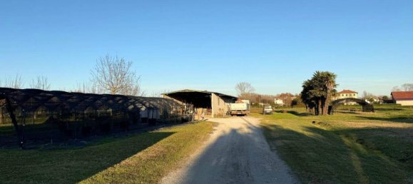 8 rooms House in San Michele al Tagliamento, Italy No. 33275 18