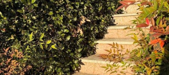 8 rooms House in San Michele al Tagliamento, Italy No. 33275 4