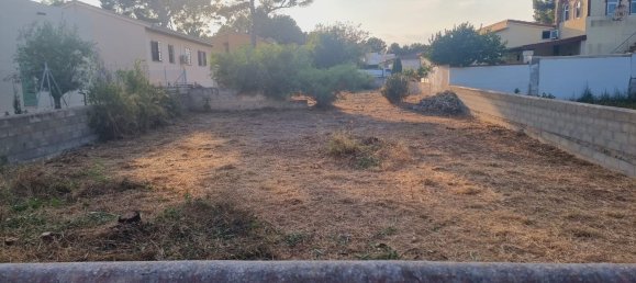  Land in Santa Margalida, Spain No. 162546 5