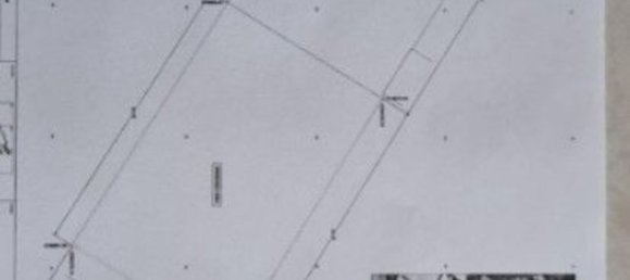  Land in Santa Margalida, Spain No. 162546 4