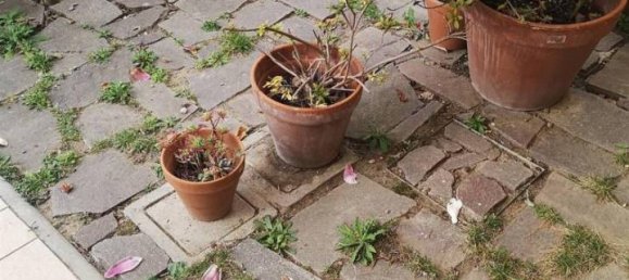 5 rooms House in Cavriglia, Italy No. 32848 23