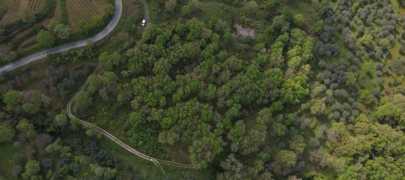 Terrain à Roccamonfina, Italy No. 324115 6