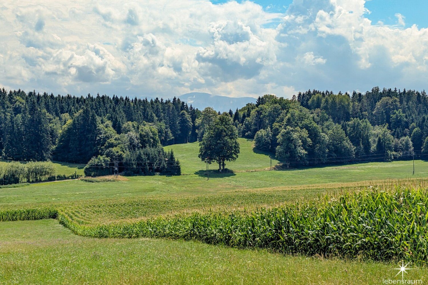 5020m² Commercial property in Moosburg, Austria No. 226527