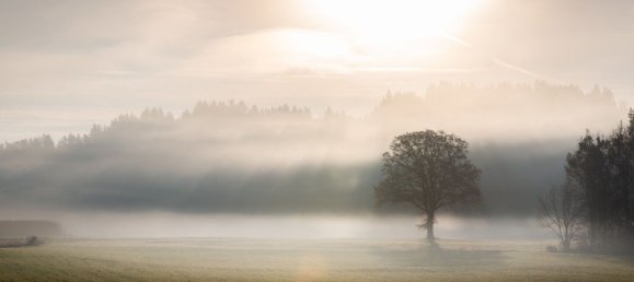 5020m² Commercial property in Moosburg, Austria No. 226527 2