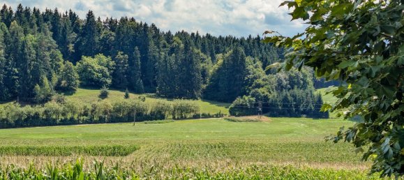 5020m² Commercial property in Moosburg, Austria No. 226527 8