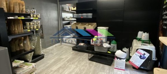 18 rooms Apartment in Luneville, France No. 224025 8