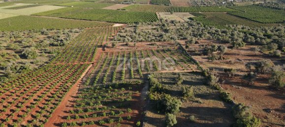 6440m² Land in Sao Bartolomeu de Messines, Portugal No. 44811 5