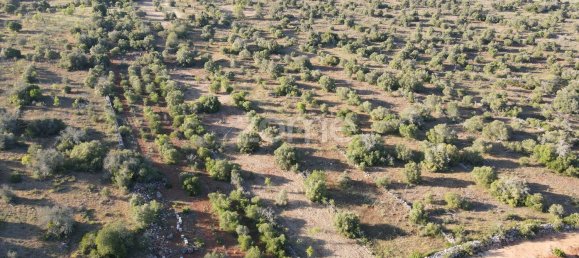 6440m² Land in Sao Bartolomeu de Messines, Portugal No. 44811 7