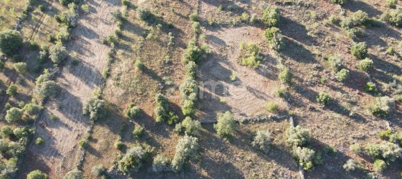 6440m² Land in Sao Bartolomeu de Messines, Portugal No. 44811 15