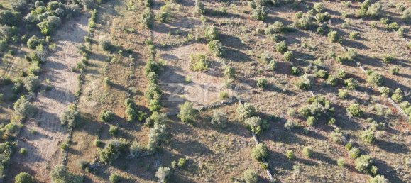 6440m² Land in Sao Bartolomeu de Messines, Portugal No. 44811 14