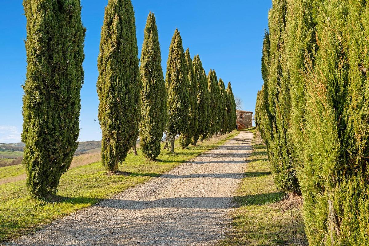 12 Schlafzimmer Haus in Trequanda, Italy, Nr. 147164