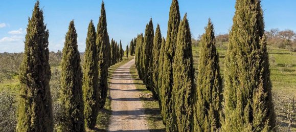 12 Schlafzimmer Haus in Trequanda, Italy, Nr. 147164 17