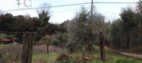 4غرفة منزل في Narni, Italy رقم 173817 19