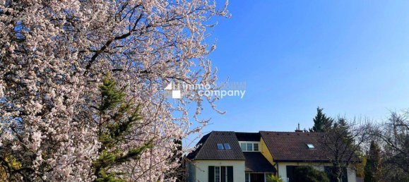 Villa de 7 habitaciónes en Eisenstadt Umgebung, Austria No. 140316 2